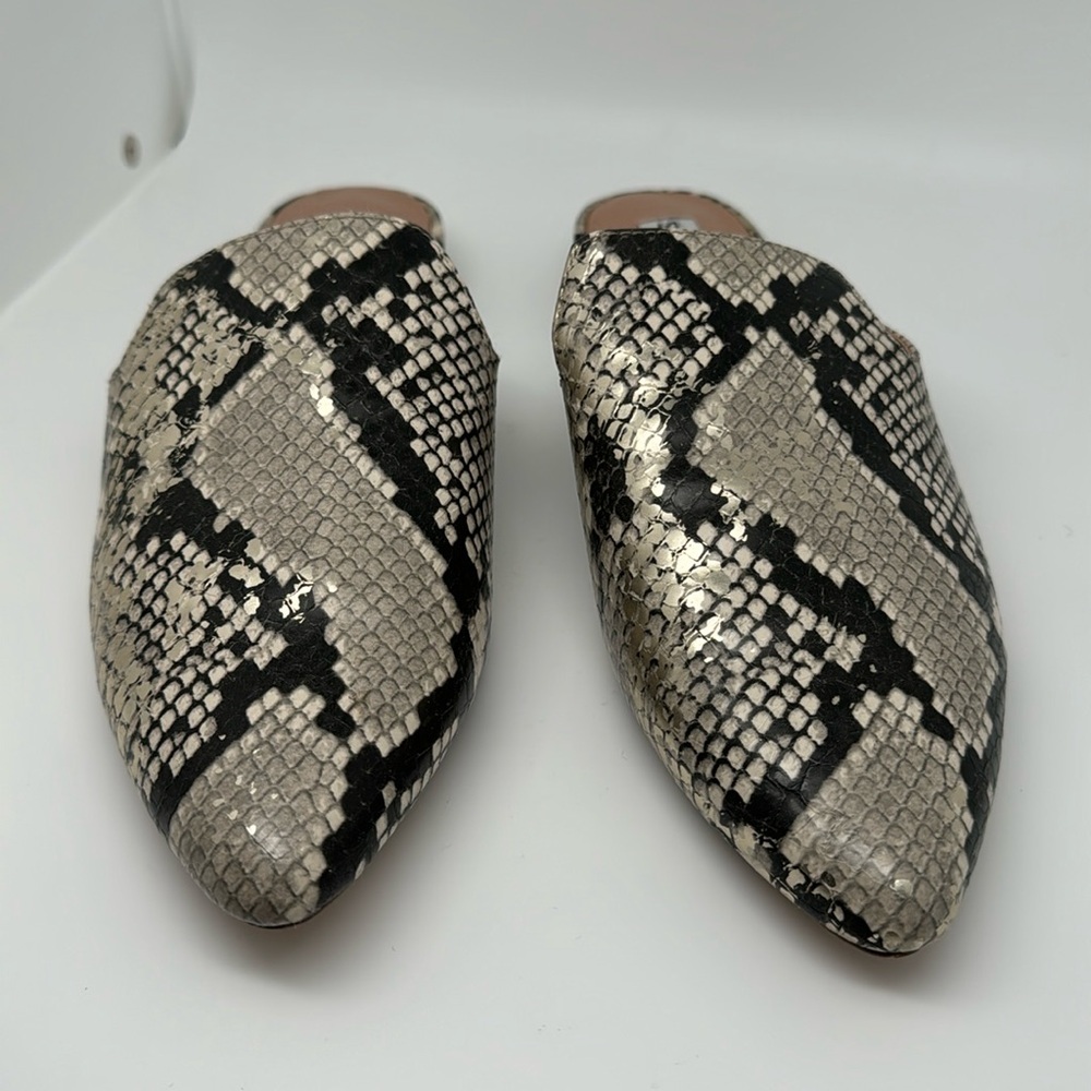 Steve Madden Mattis Python Snakeskin Pointed Toe … - image 7